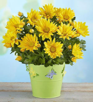 Cheerful Yellow Mum
 Flower Bouquet