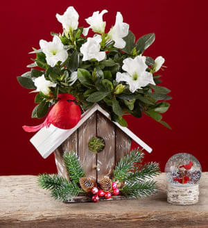 Christmas Birdhouse Of Blooms  Flower Bouquet