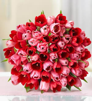 Sweetest Love Tulips, 60 Stems Flower Bouquet