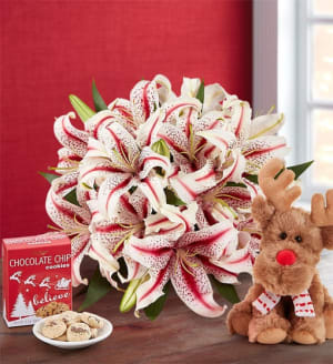 Holiday Enchantment Flower Bouquet