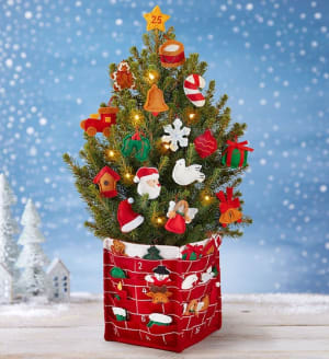 Countdown to Christmas Tree + Free Candle Flower Bouquet