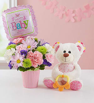 Lotsa Love® Welcome Baby Girl Flower Bouquet