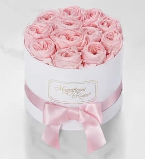 Magnificent Roses® Preserved Pink Garden Roses Flower Bouquet