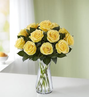 Yellow Roses, 12-24 Stems Flower Bouquet