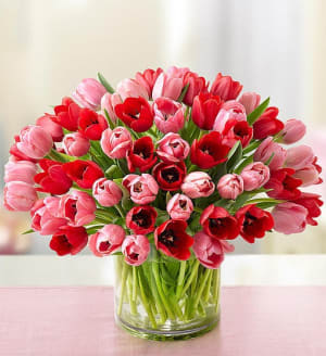 Sweetest Love Tulips, 60 Stems Flower Bouquet