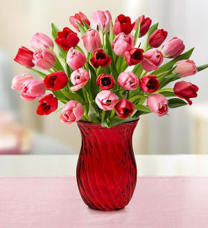 Sweetest Love Tulips Flower Bouquet