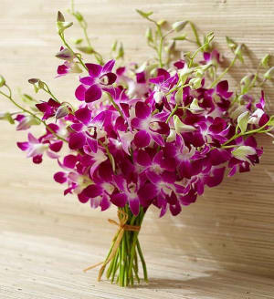 Exotic Breeze Orchids Flower Bouquet