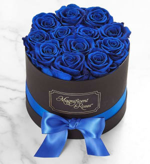 Magnificent Roses Preserved  Blue Velvet Roses Flower Bouquet