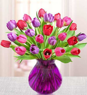 Tulips for Your Valentine Flower Bouquet