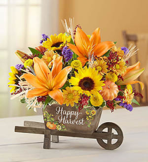 Happy Harvest Wheelbarrow Flower Bouquet