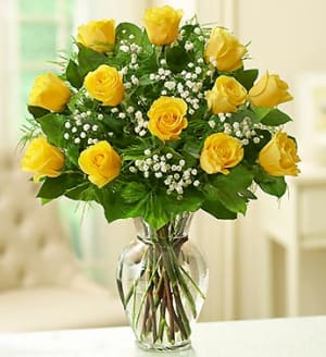 Premium Long Stem Yellow Roses