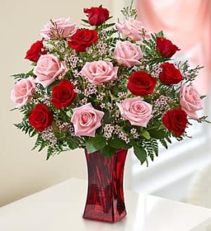 Shades of Pink and Red™ Premium Long Stem Roses