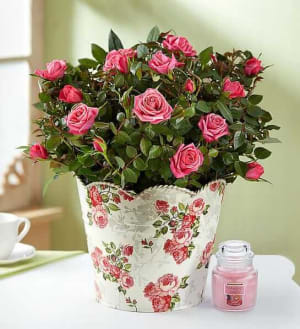 Classic Budding Rose Flower Bouquet