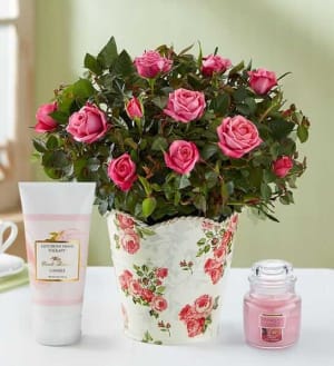 Classic Budding Rose Flower Bouquet