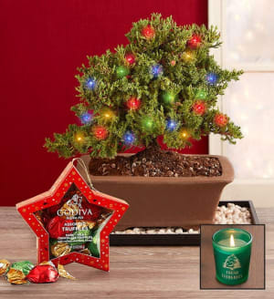 Merry Christmas Bonsai + Free Candle Flower Bouquet