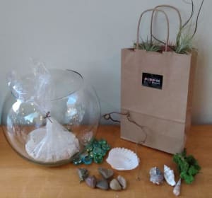 Air Plant Terrarium kit