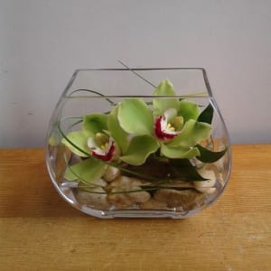 Sunken Orchids Flower Bouquet