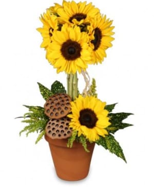 Pot O' SunflowersTopiary Arrangement Flower Bouquet