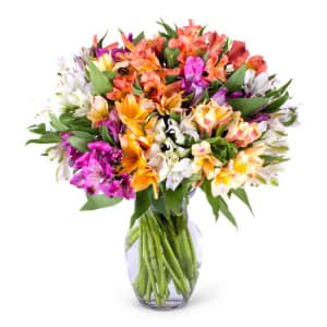 Radiant Alstroemeria Flower Bouquet