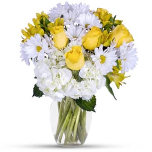 Sunshine Daisies Flower Bouquet