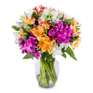 Radiant Alstroemeria Flower Bouquet