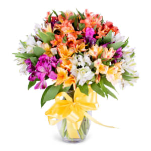 Radiant Alstroemeria Flower Bouquet