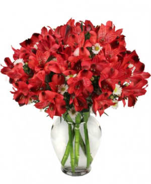 PASSIONATE PERUVIAN LILY Flower Bouquet