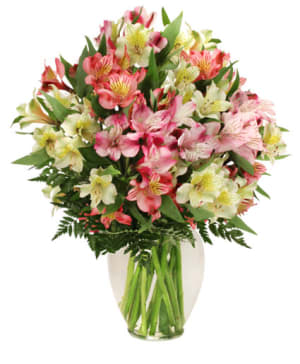 Alluring Alstroemeria Flower Bouquet