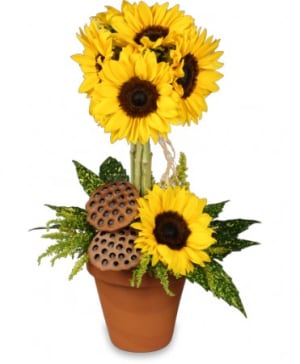 POT O' SUNFLOWERSTopiary  Arrangement Flower Bouquet