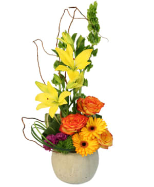 RICH & BOLD
Flower Arrangement
 Flower Bouquet