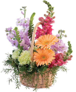 PLEASANT PASTELS
Basket Arrangement Flower Bouquet