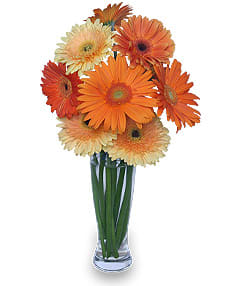 Citrus Cooler Flower Bouquet