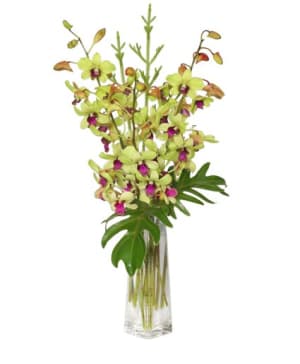 Divine Dendrobiums Flower Bouquet