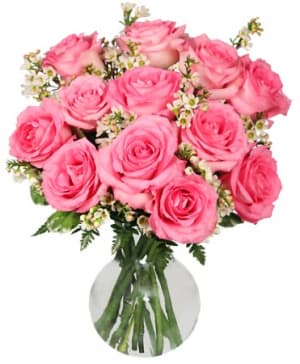 CHANTILLY PINK ROSES Flower Bouquet