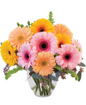 GERBERA DREAMS
Floral Design Flower Bouquet