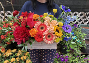 Rainbow of Flowers Flower Bouquet