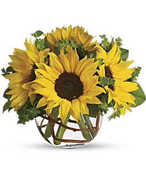Bowl of Sunflowers Flower Arrangement Bowl of Sunflowers Flower Bouquet
