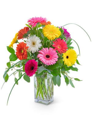 One Dozen Colorful Gerbera Flower Bouquet