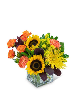 Splendid Sun Flower Bouquet