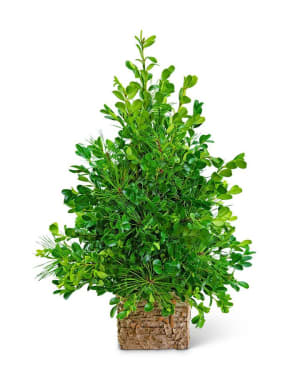 Bare Boxwood Tree Flower Bouquet