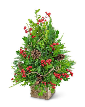 Berries & Cones Boxwood Tree Flower Bouquet