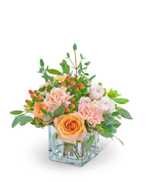 Sweet Sorbet Flower Arrangement Sweet Sorbet Flower Bouquet
