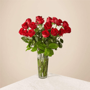 Classic Love -Long Stem Red Roses