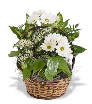 Mixed Basket Garden Flower Bouquet