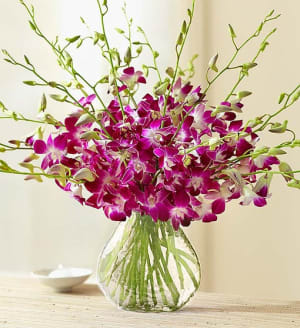 Exotic Orchids  Breeze Flower Bouquet