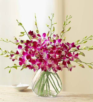 Exotic Orchids  Breeze Flower Bouquet