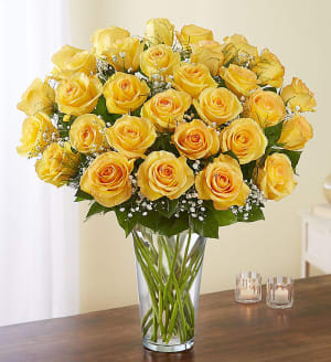 Ultimate Yellow Roses 24,36,48 Flower Bouquet