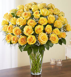 Ultimate Yellow Roses 24,36,48 Flower Bouquet