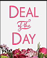 Deal of the Day additional 25%