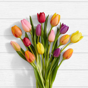 Rush of Color Assorted Tulip Bouquet - 30 Stems with Vase Flower Bouquet